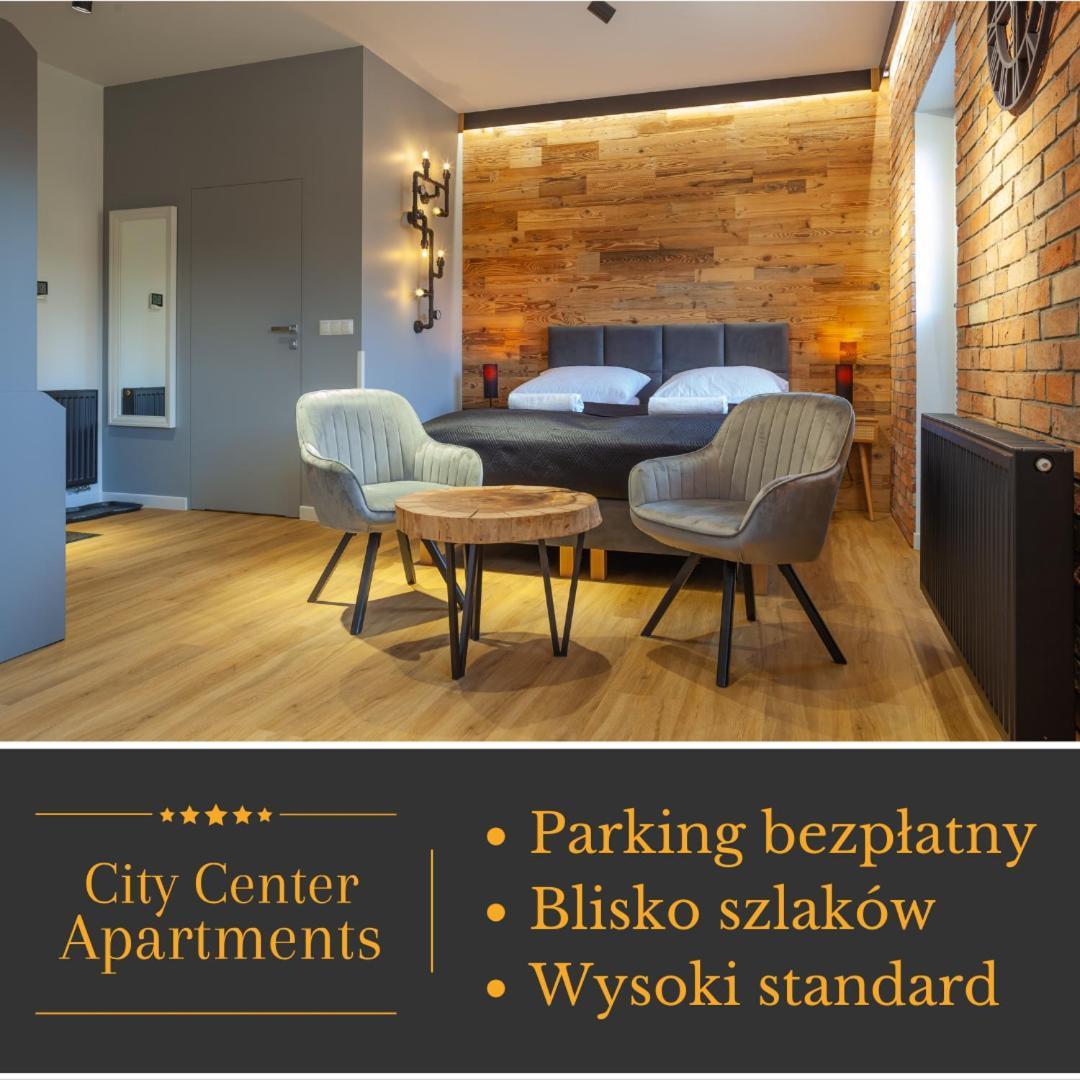 Apartament City Center Modern Loft 2 - Bezplatny Parking Krynica-Zdrój Exterior foto